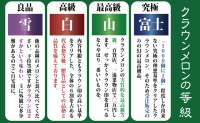 クラウンメロン　1玉入　（約1.0kg以上）