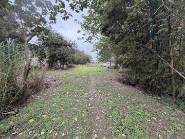 近青埔漂亮農加建晏姐獨家專任｜桃園市中壢區萬能段