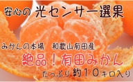 絶品！濃厚有田みかん 〔秀品・Ｍサイズ〕 約10kg ※2021年11月上旬～12月下旬頃に順次発送予定 ※北海道・沖縄地域へのお届け不可