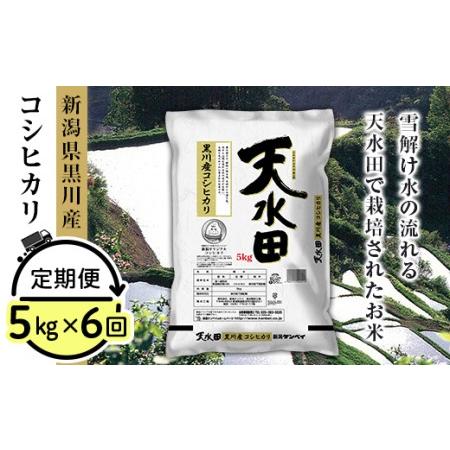 ふるさと納税 27-056A新潟県黒川産コシヒカリ5kg 新潟県胎内市