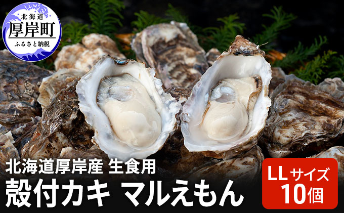 北海道 厚岸産 生食用 殻付カキ LLサイズ 10個 マルえもん 牡蠣