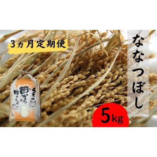 ふるさと納税 北海道 豊浦町 ■3ヵ月連続お届け■ 定期便 3回 北海道 豊浦 令和5年産 精米 ななつぼし 5kg ≪江刺家花園≫