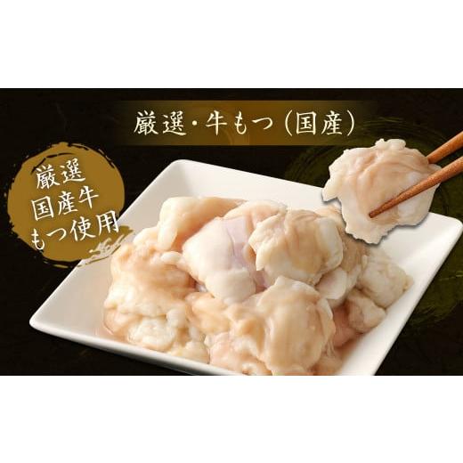 ふるさと納税 福岡県 宗像市 食べ比べ 博多 もつ鍋 2種 醤油 味噌 (2〜3人前×2セット)もつ鍋 福岡 人気 もつ もつ鍋セット 牛もつ もつなべ 宗…