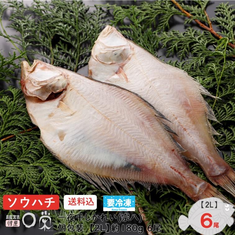 選べる一夜干しかれい 宗八 1.0kg 北海道産 サイズ(S〜3L) 干物 ギフト エテ ソウハチ 岩手 加工 冷凍 お取り寄せ グルメ