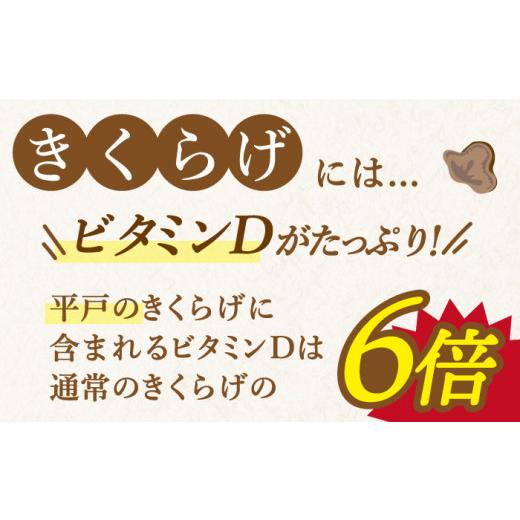 ふるさと納税 長崎県 平戸市 太った医者で社長の健康のためにも作ってる佐賀の人にはナイショのおいしすぎるきくらげ。平戸の乾燥きくらげ 約…