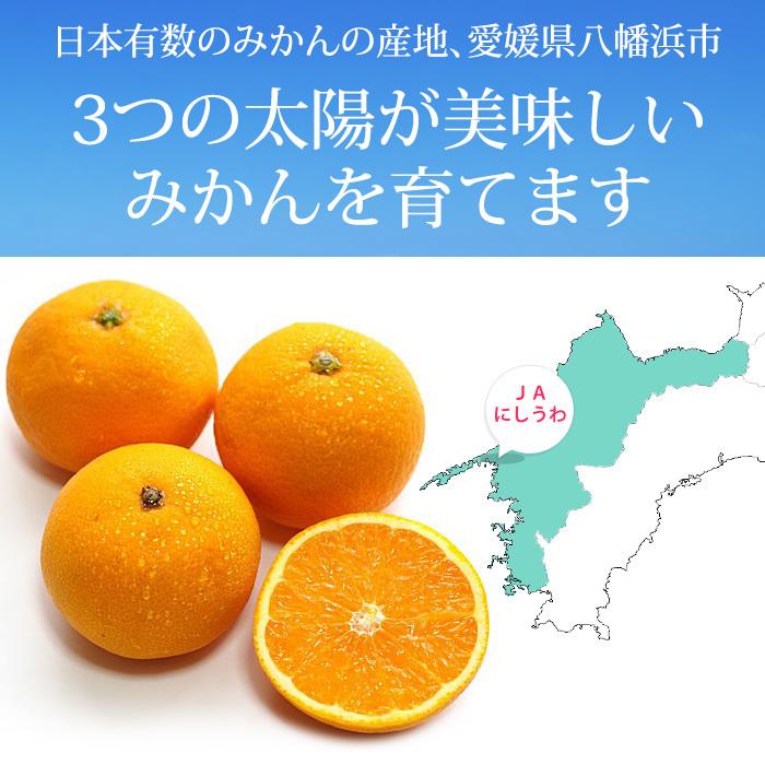 紅まどんなと同品種 みかん 愛媛県産 あいか 愛果 約5kg 16〜25玉