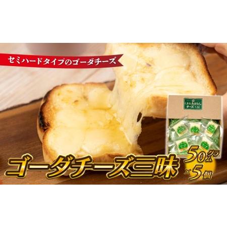 ふるさと納税 ゴーダチーズ三昧　（50g×5個） 島根県邑南町