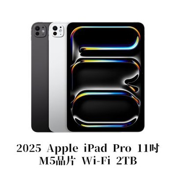 Apple 2025 iPad Pro M5晶片 11吋 WiFi 2TB 平板電腦