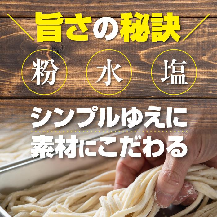 讃岐うどん さぬきうどん 本場 9人前 9食 つゆなし 純生 旨い 香川県 訳アリ もちもち つるつる お取り寄せ お土産 ポイント消化 送料無料