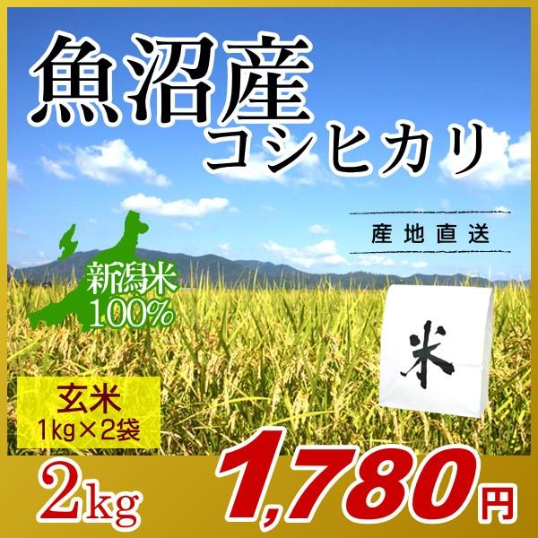 魚沼産 コシヒカリ 玄米 2kg(1kg×2袋)／新米 米 お米 新潟米 新潟 コシヒカリ 南魚沼産 魚沼 高級米 ブランド米 エコ梱包