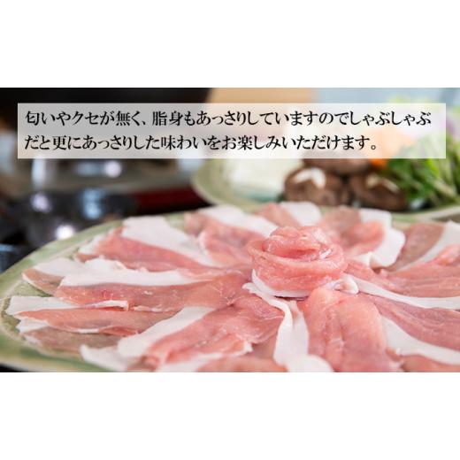 ふるさと納税 北海道 豊浦町  豚肉 しゃぶしゃぶ とようらポーク 1kg ロース 豚しゃぶ 北海道 豊浦産 SPF豚