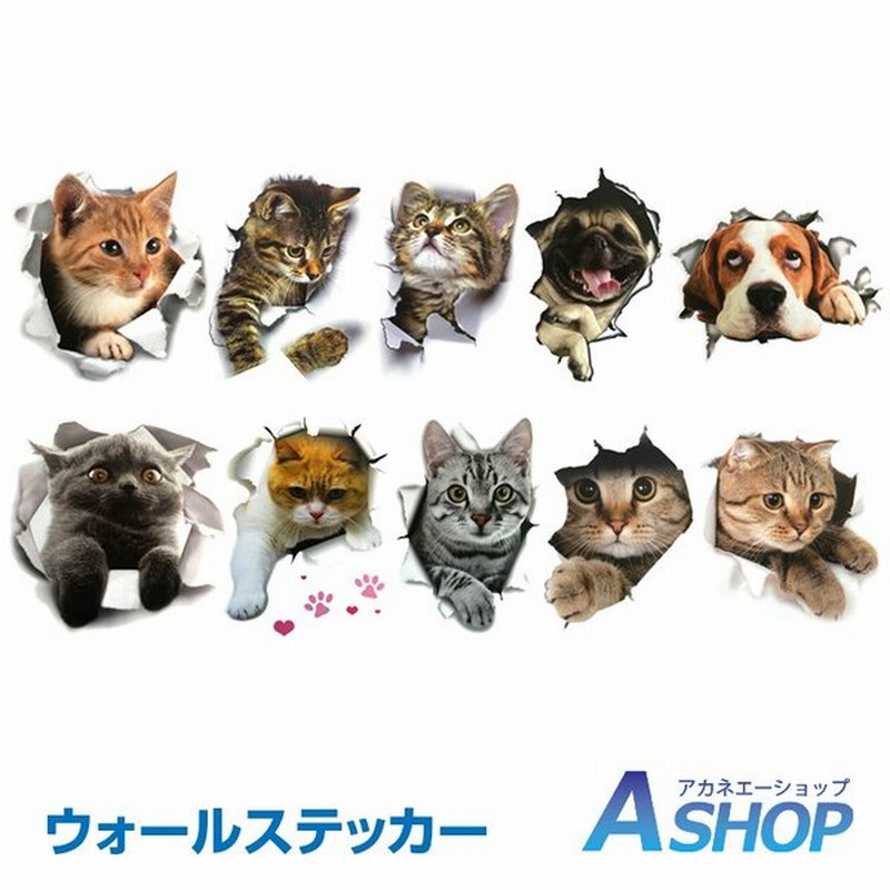 ステッカー シール 猫 犬 5種類セット おしゃれ ウォールステッカー 動物 壁 だまし絵 壁紙 飛び出す Ny158 通販 Lineポイント最大0 5 Get Lineショッピング