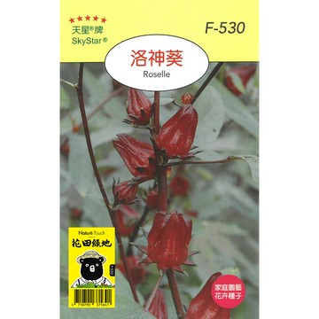 花田綠地種子 洛神葵