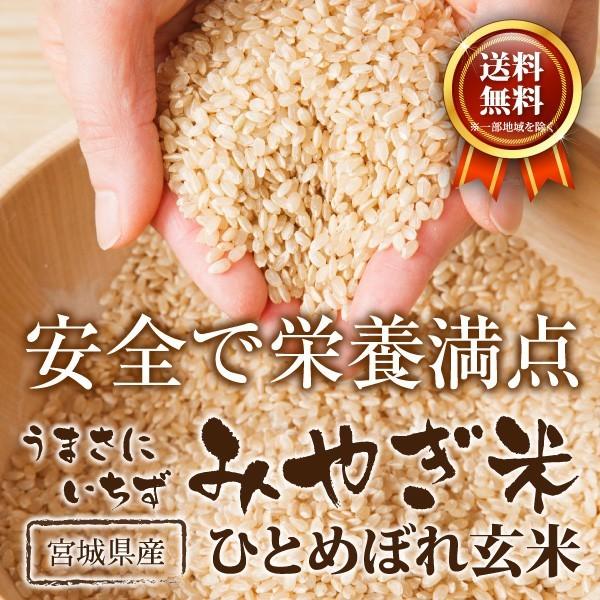 新米 玄米 20kg 宮城 ひとめぼれ 令和5年産 10kg×2袋 宮城県産 玄米食