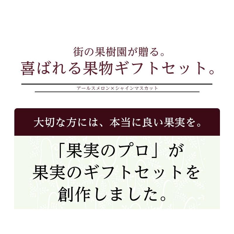 送料無料 産地厳選 アールスメロン 山梨 長野県産 シャインマスカット フルーツ ギフト 送料無料 果物 詰合せ 果物 ギフト 誕生日  贈答 プレゼント