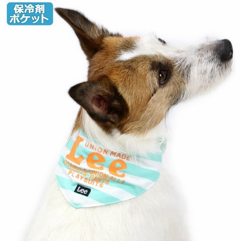 犬 猫 バンダナ ｌｅｅ 夏 クール クールバンダナ 保冷剤付き ひんやり 小型犬 超小型犬 暑さ対策 ロゴ縞 ネッククーラー 小型犬 メール便可 通販 Lineポイント最大get Lineショッピング