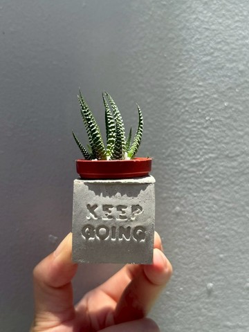 Keep going 堅持下去 多肉磁鐵盆栽