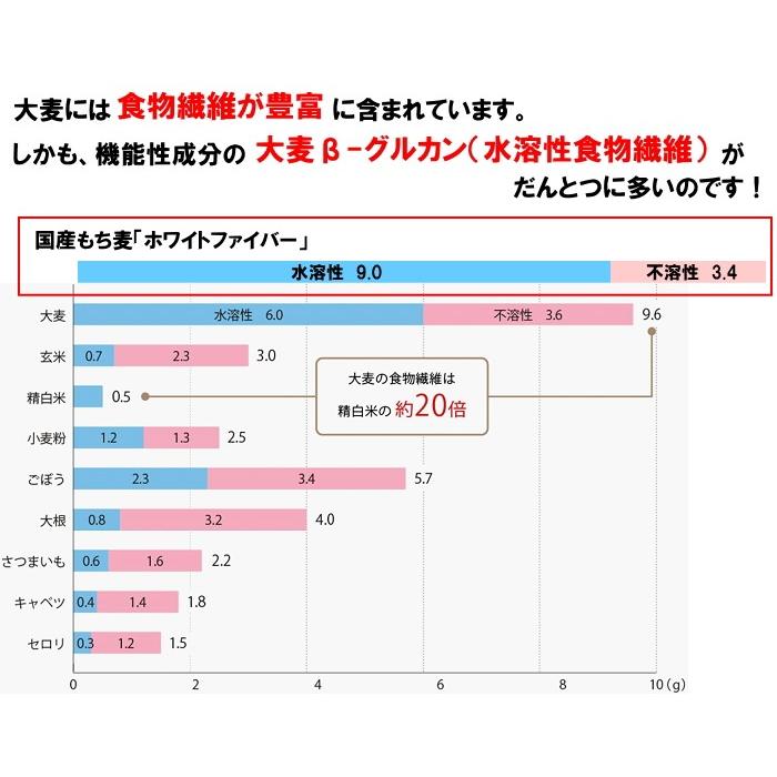  国産もち麦 たっぷり 業務用 5kg ホワイトファイバー 品種使用