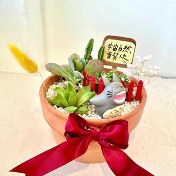 多肉組盆 飛翔龍貓 枯山水 微景觀 盆栽 生日禮 橡子共和國 多肉