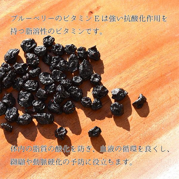 ブルーベリー　200g　ドライフルーツ　アメリカ産　(カルチベイト種)