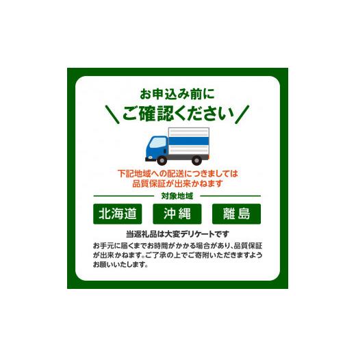 ふるさと納税 香川県 高松市 さぬきひめいちご化粧箱　2箱(各約400g)