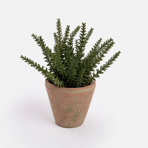 艾禮思擬真盆栽迷迭香21.5cm