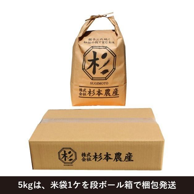 令和5年度産　キヌヒカリ　玄米　5kg　兵庫県産　送料無料