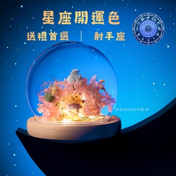 快速出貨【生日快樂🎂】十二星座燈飾花盅－射手座 Sagittarius