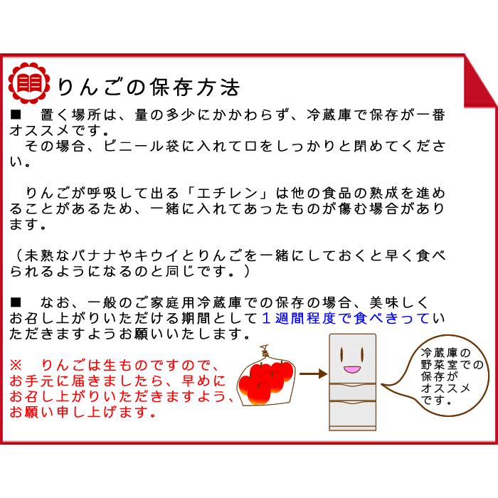 ギフト りんご シナノゴールド 約10kg Bランク マル特 長野県産 送料無料 フルーツ リンゴ 信州 お取り寄せ