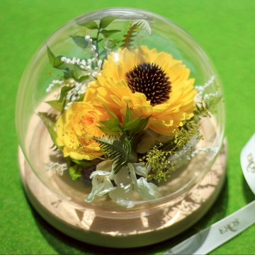 【EROS】6月的祝福/向日葵玻璃罩