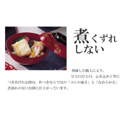 ふるさと納税 新潟県 杵つき餅 新潟産こがねもち100% 8切×6袋
