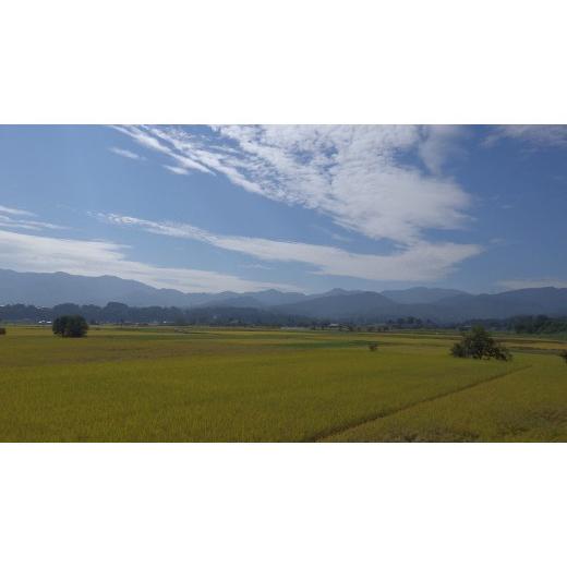 ふるさと納税 富山県 南砺市 富山県産コシヒカリ『医王の舞』白米10kg