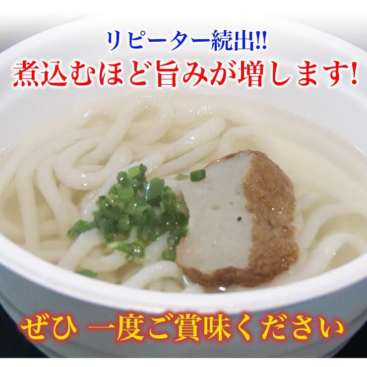 日南魚うどん つゆ付 1食分より発送できます 日南市漁協女性部