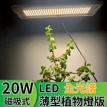 【君沛】磁吸式仿太陽光燈板 20W 全光譜 高演色性 自然舒適光 LED植物燈 觀葉 龜背芋 層架補光