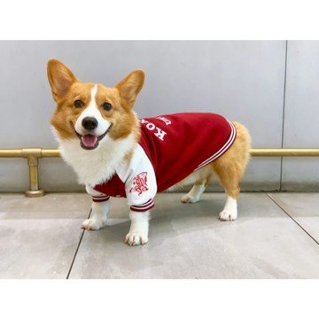 【汪喵森活】 棒球外套 2色 狗外套 寵物外套 秋冬服飾 貴賓狗 狗衣服 米克斯 雪納瑞 西高地 比熊 柯基 寵物服飾