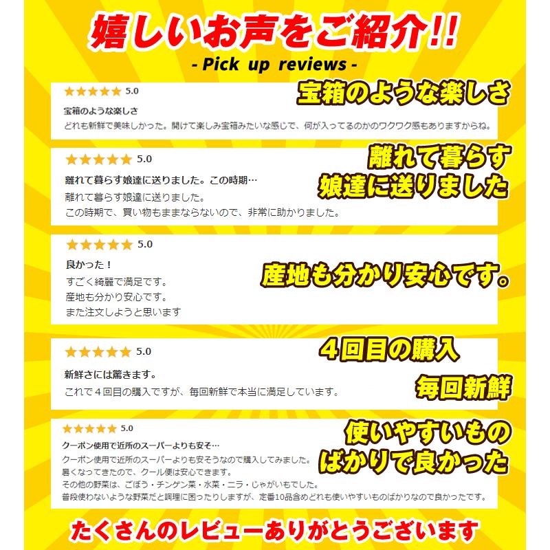 15品目の野菜セット 常温便 送料無料 食品