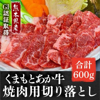 ふるさと納税 山都町 熊本県産 GI認証取得 くまもとあか牛 焼き肉用