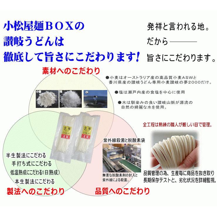 送料無料 うどん 激選スープカレーうどん20人前セット