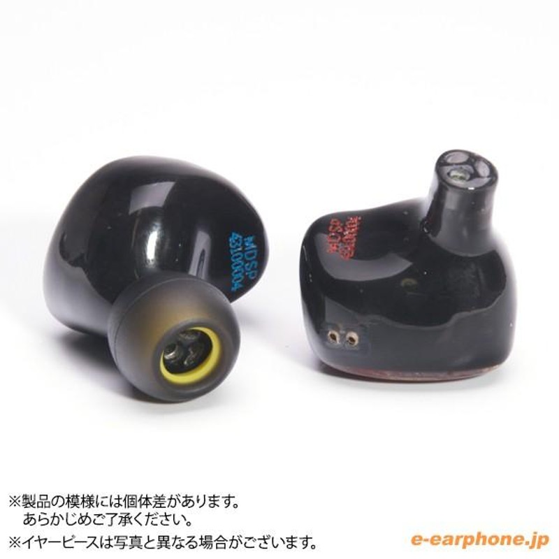 お取り寄せ) Heir Audio エア・オーディオ Heir IEM 10.0 カスタムIEM