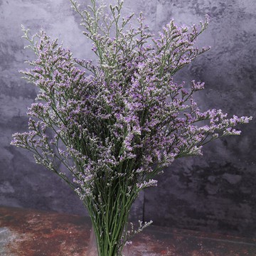 勿忘我干花花束云南鮮花基地直發辦公裝飾家居擺設組合混搭干花