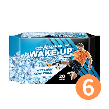【Let-Green 立得清】WAKE UP酷涼運動濕巾20抽/包*6包