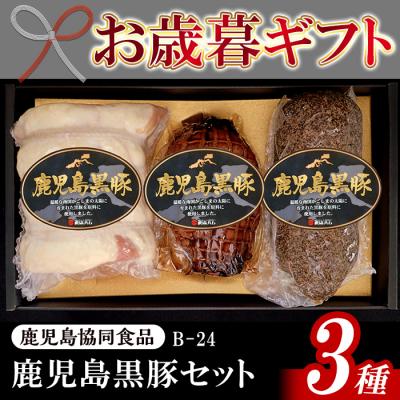 ふるさと納税 いちき串木野市 鹿児島県産黒豚ハムセット(B-24)