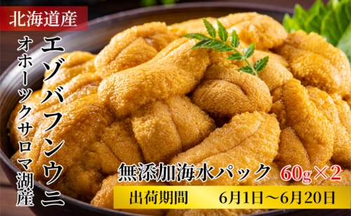 サロマ湖産 無添加 エゾバフンウニ 海水パック60g×2[出荷期間6月1日～6月20日] 北海道 オホーツク 佐呂間町 ウニ うに 海鮮