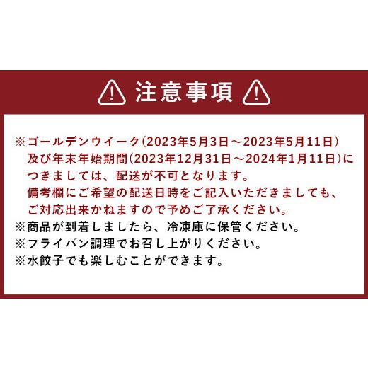 ふるさと納税 熊本県 熊本市 にんにくたっぷり伝説の塩ぎょうざ 200個(50個×4セット) 餃子 約2.8kg