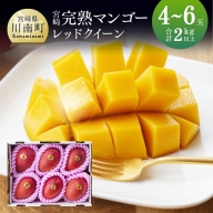  宮崎県産完熟マンゴー 「 レッドクイーン 」 4～6玉 