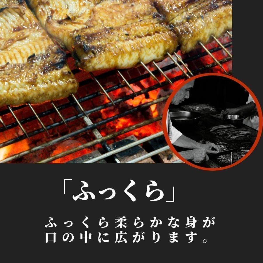 うなぎ 蒲焼 6尾 国産  鰻 ウナギ お中元 高級 人気 美味しい 浜名湖 静岡 老舗 店舗 冷蔵 のし 熨斗 贈答 贈り物 ギフト お祝い お取り寄せ 内祝 地焼き