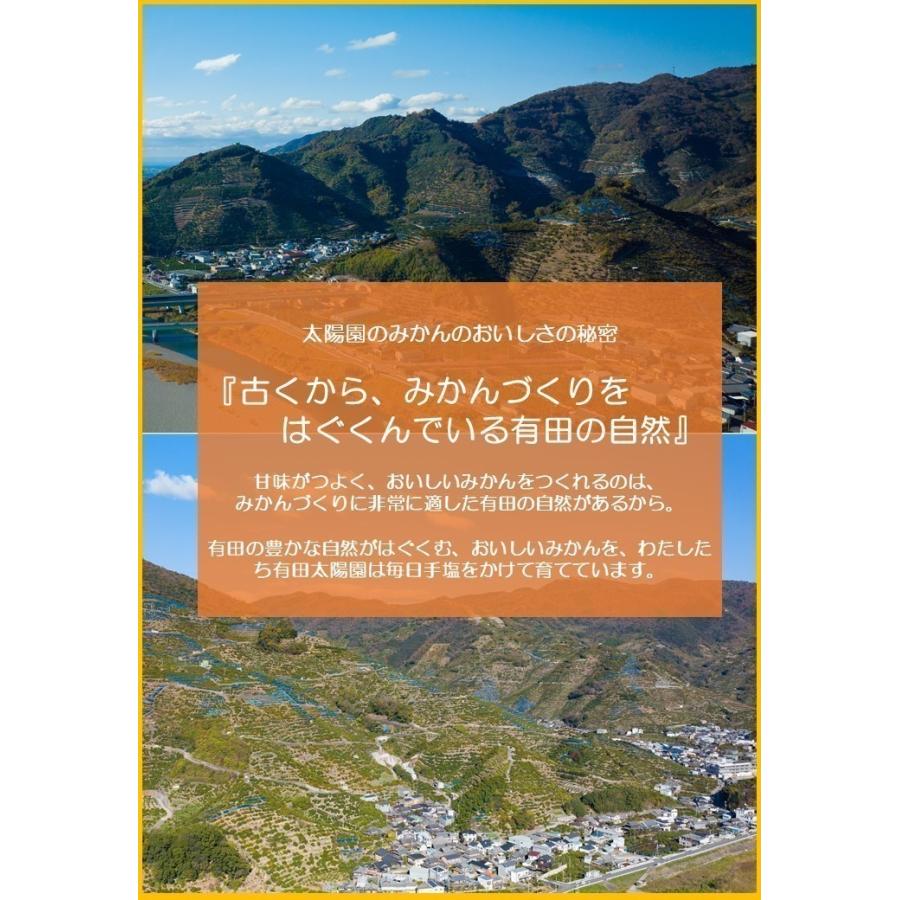 太陽みかん（有田みかん）サイズ：L（赤秀）　内容量：10kg