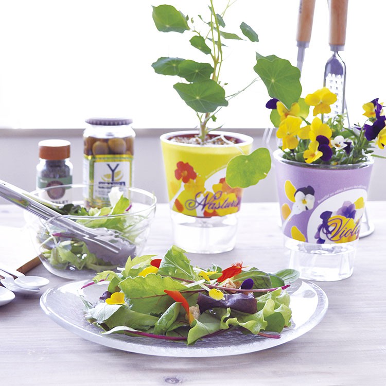 福利品特賣會 Edible Flower可食用植物水耕栽培盆器 矮牽牛 水耕 室內栽培 矮牽牛 食用花 料理 西餐 舊 蝦皮商城 Line購物