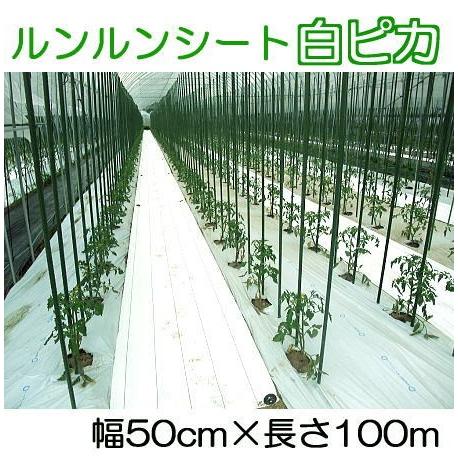 ルンルンシート 白ピカ 幅 50cm×100ｍ 光合成促進 遮熱性 防草シート 小泉製麻 (法人個人選択)