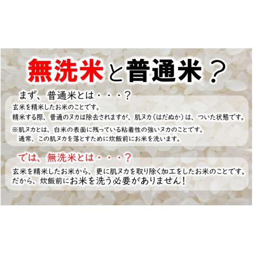 ふるさと納税 福井県 坂井市 福井県産 低農薬極上米 無洗米 10kg × 12回 計120kg 『あきさかり』[O-8801_04]